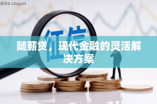 大丰随薪贷，现代金融的灵活解决方案