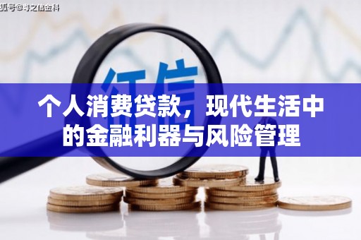 大丰个人消费贷款，现代生活中的金融利器与风险管理