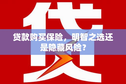 大丰贷款购买保险，明智之选还是隐藏风险？