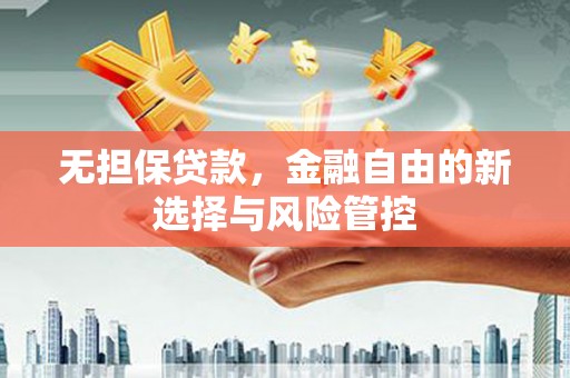 大丰无担保贷款，金融自由的新选择与风险管控
