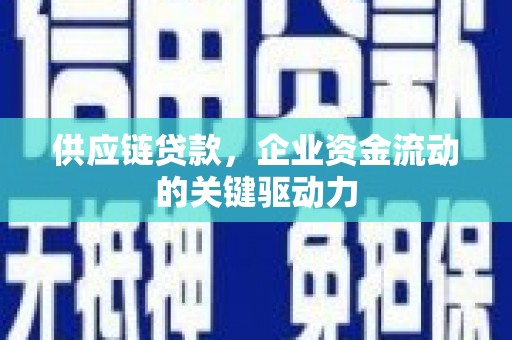 大丰供应链贷款，企业资金流动的关键驱动力