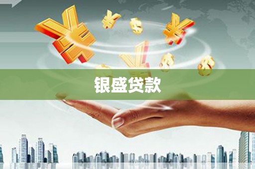 大丰银盛贷款