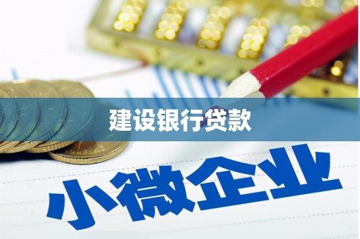 大丰建设银行贷款