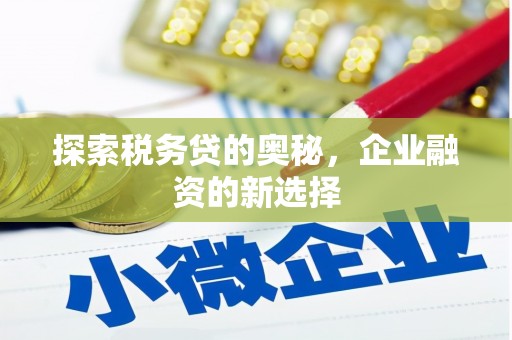 大丰探索税务贷的奥秘，企业融资的新选择