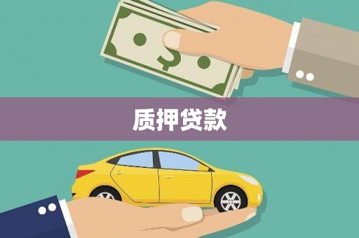 大丰质押贷款