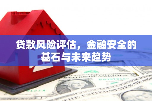 大丰贷款风险评估，金融安全的基石与未来趋势