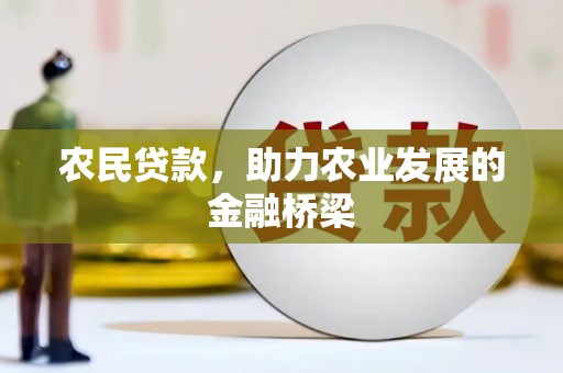 大丰农民贷款，助力农业发展的金融桥梁