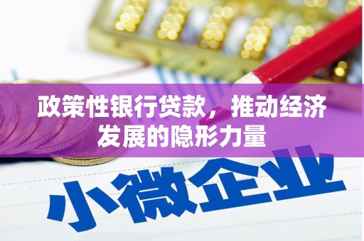 大丰政策性银行贷款，推动经济发展的隐形力量
