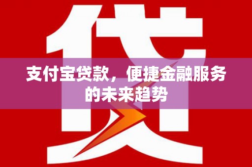 大丰支付宝贷款，便捷金融服务的未来趋势