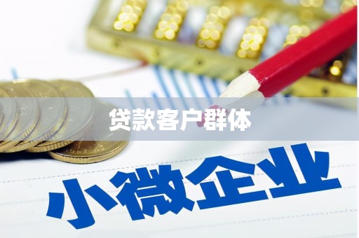 大丰贷款客户群体