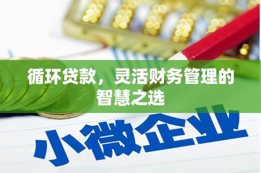 大丰循环贷款，灵活财务管理的智慧之选