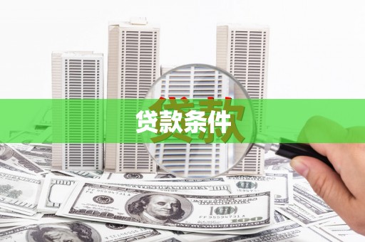 大丰贷款条件