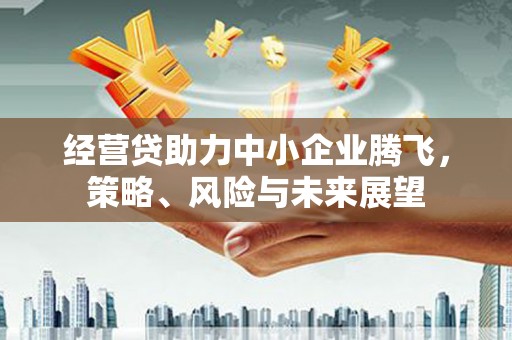 大丰经营贷助力中小企业腾飞，策略、风险与未来展望
