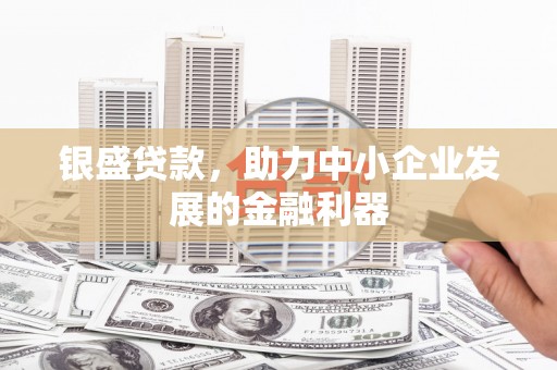 大丰银盛贷款，助力中小企业发展的金融利器