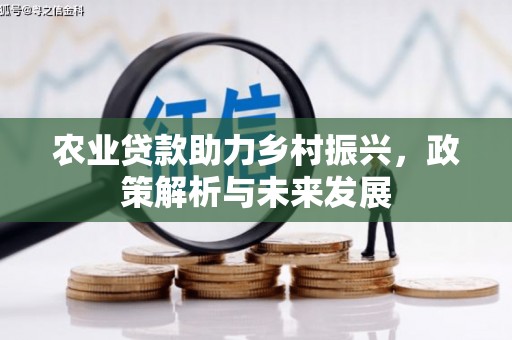 大丰农业贷款助力乡村振兴，政策解析与未来发展