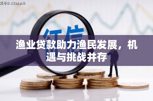大丰渔业贷款助力渔民发展，机遇与挑战并存