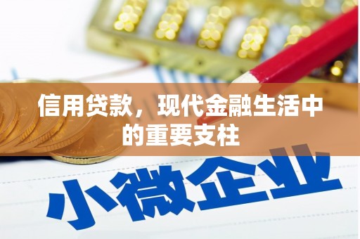 大丰信用贷款，现代金融生活中的重要支柱