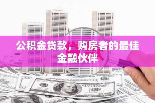大丰公积金贷款，购房者的最佳金融伙伴