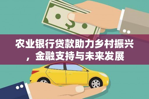 大丰农业银行贷款助力乡村振兴，金融支持与未来发展