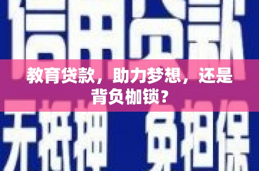 大丰教育贷款，助力梦想，还是背负枷锁？