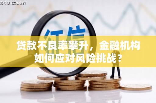 大丰贷款不良率攀升，金融机构如何应对风险挑战？