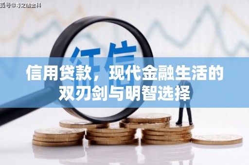 大丰信用贷款，现代金融生活的双刃剑与明智选择