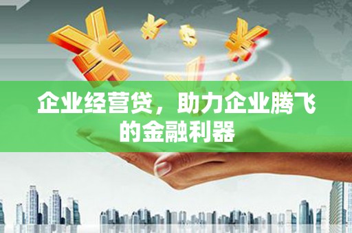 大丰企业经营贷，助力企业腾飞的金融利器