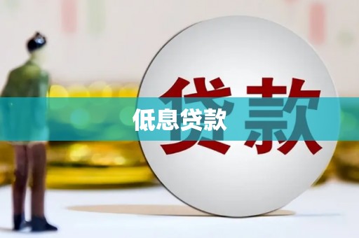 大丰低息贷款