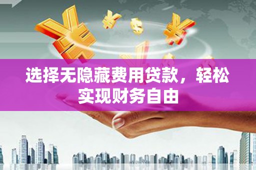 大丰选择无隐藏费用贷款，轻松实现财务自由