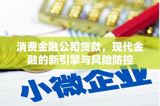 大丰消费金融公司贷款，现代金融的新引擎与风险防控