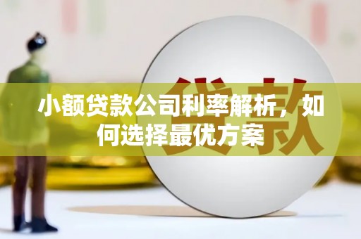 大丰小额贷款公司利率解析，如何选择最优方案