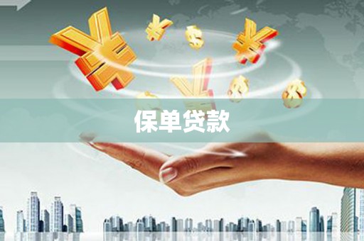 大丰保单贷款