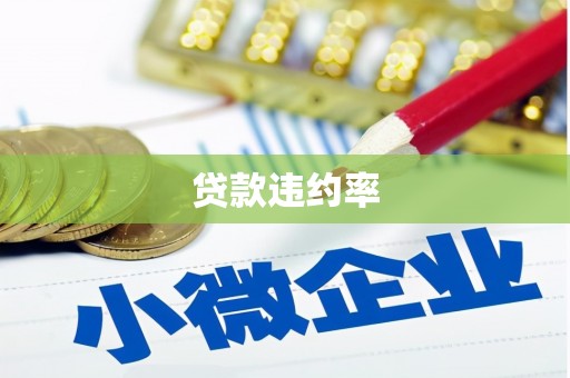 大丰贷款违约率