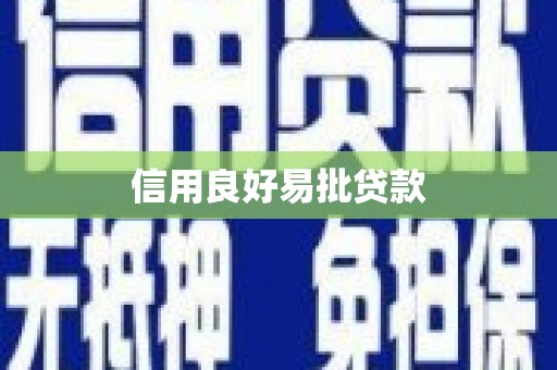 大丰信用良好易批贷款