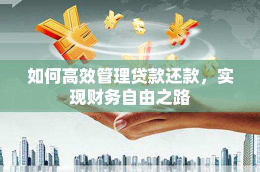 大丰如何高效管理贷款还款，实现财务自由之路