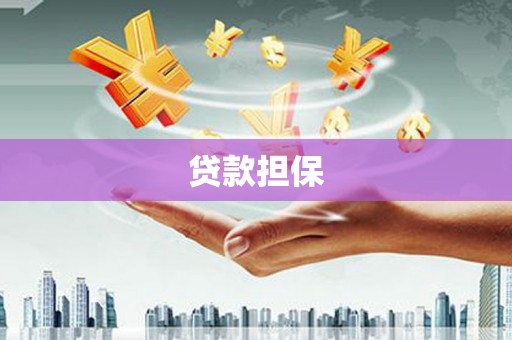 大丰贷款担保