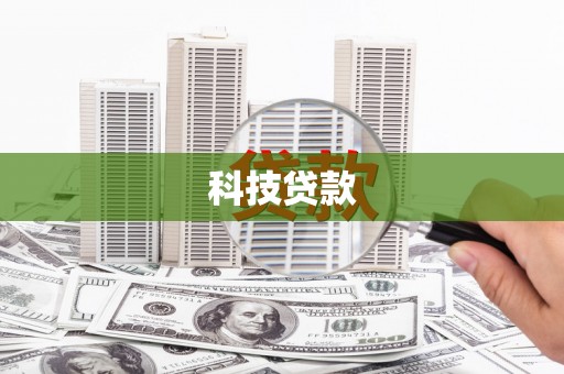 大丰科技贷款