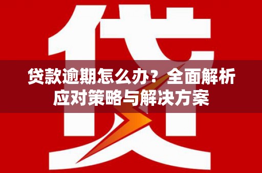 大丰贷款逾期怎么办？全面解析应对策略与解决方案