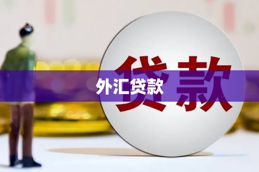 大丰外汇贷款