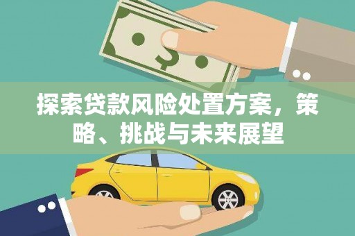 大丰探索贷款风险处置方案，策略、挑战与未来展望
