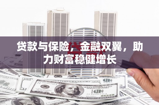 大丰贷款与保险，金融双翼，助力财富稳健增长