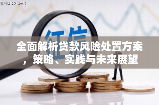 大丰全面解析贷款风险处置方案，策略、实践与未来展望