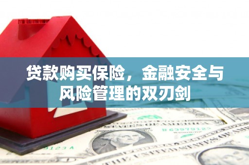 大丰贷款购买保险，金融安全与风险管理的双刃剑