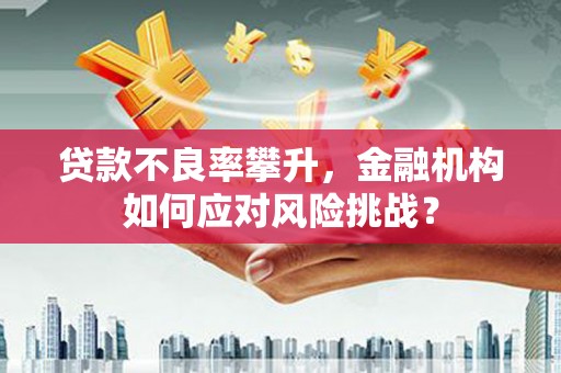 大丰贷款不良率攀升，金融机构如何应对风险挑战？