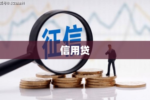 大丰信用贷