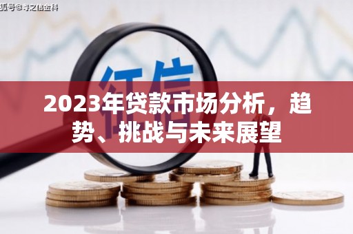 大丰2023年贷款市场分析，趋势、挑战与未来展望