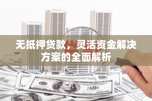 大丰无抵押贷款，灵活资金解决方案的全面解析