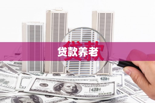 大丰贷款养老