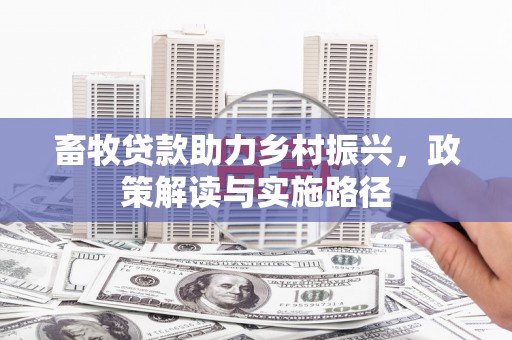大丰畜牧贷款助力乡村振兴，政策解读与实施路径