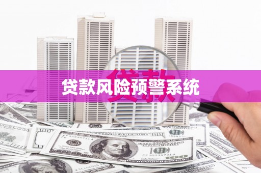 大丰贷款风险预警系统